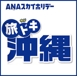 ANAスカイホリデー